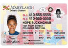 Government-Issued ID required for PLAY!
